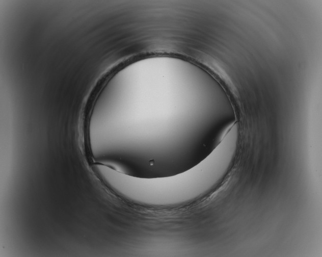 X0000094180984200711161724