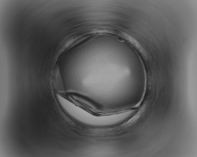 X0000094180985200711161724
