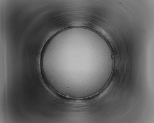 X0000094180986200711161724