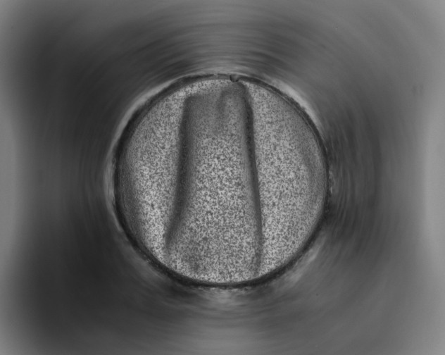 X0000094180987200711161724
