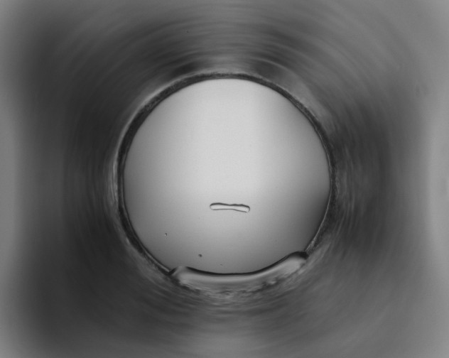 X0000094180988200711161724