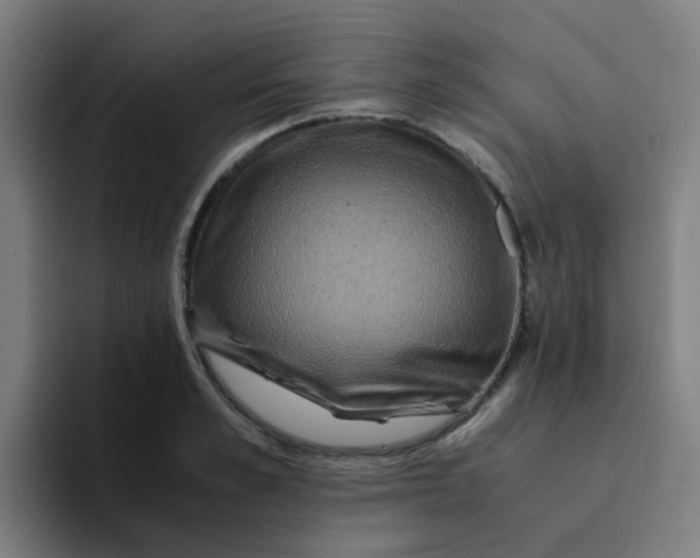 X0000094180989200711161724