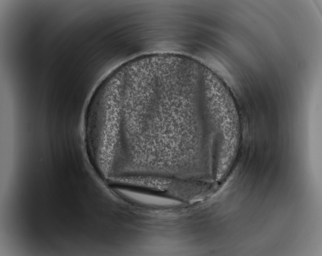 X0000094180990200711161724