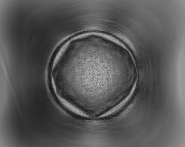 X0000094180991200711161724