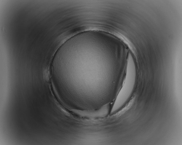 X0000094180993200711161724