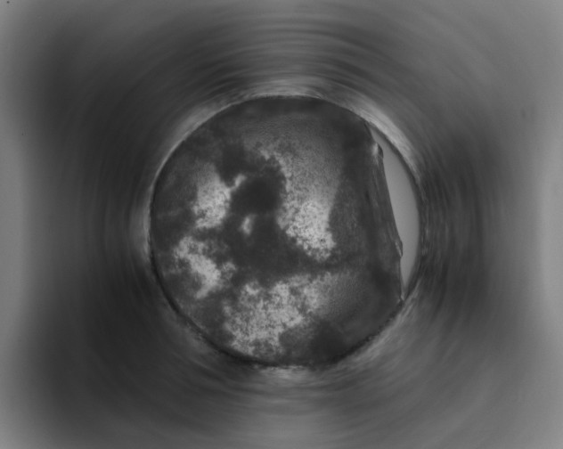 X0000094180994200711161724