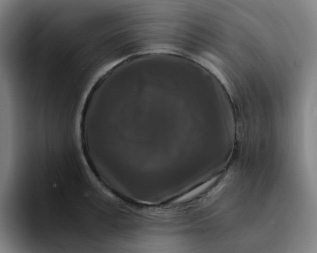 X0000094180995200711161724