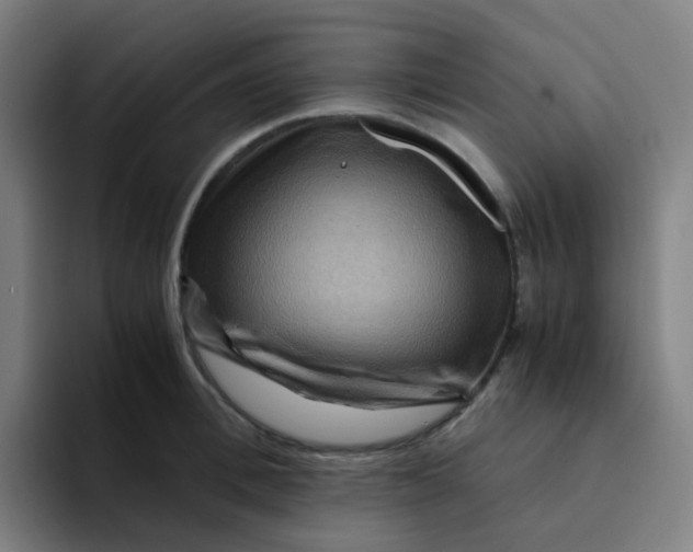 X0000094180996200711161724