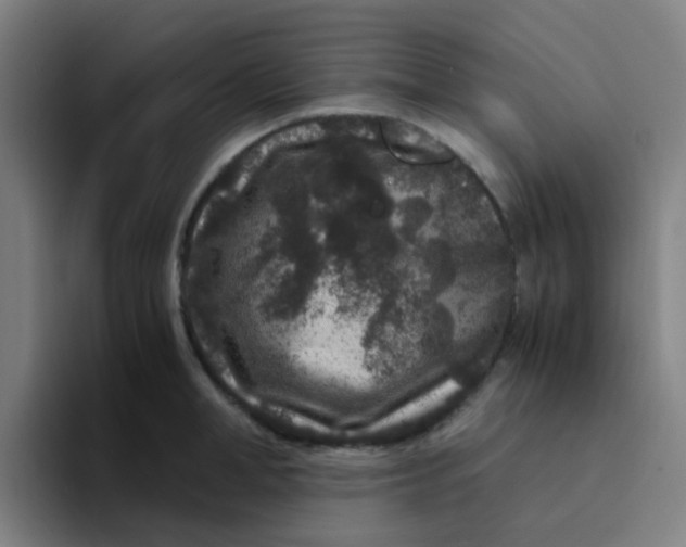X0000094180998200711161724