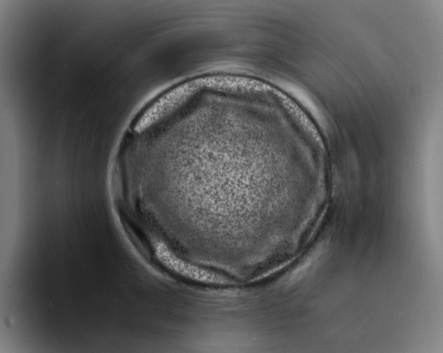 X0000094180999200711161724