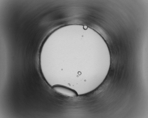 X0000094181000200711161724