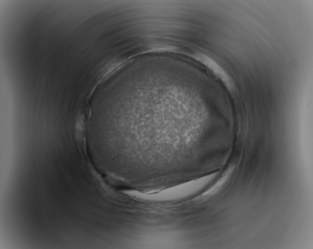 X0000094181001200711161724