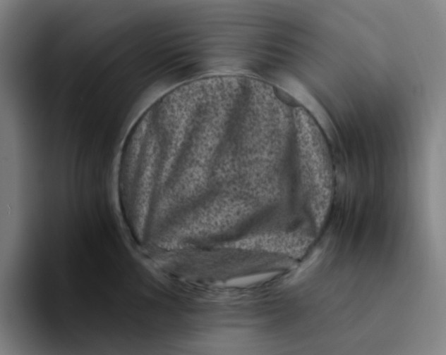 X0000094181002200711161724