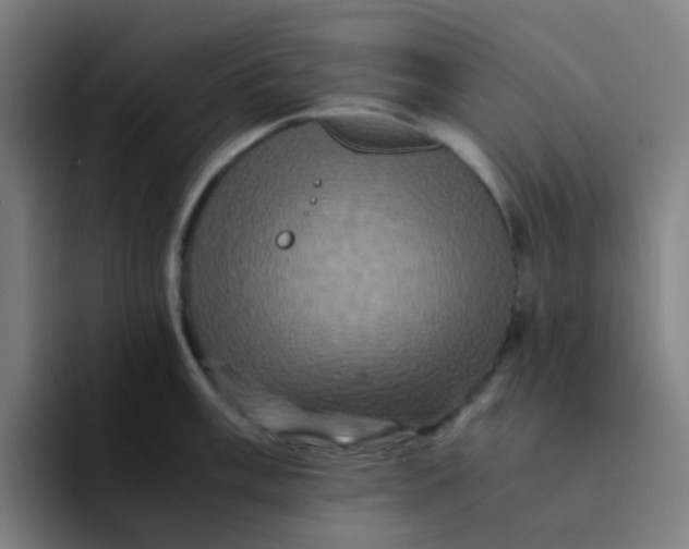 X0000094181003200711161724