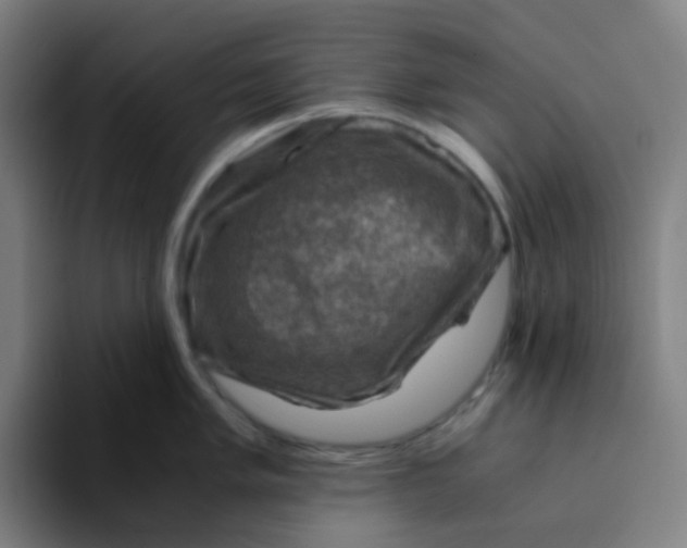 X0000094181005200711161724