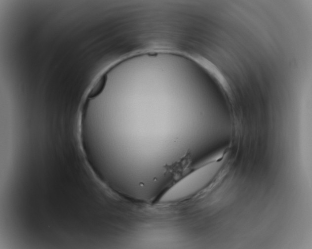 X0000094181006200711161724
