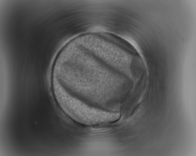 X0000094181008200711161724