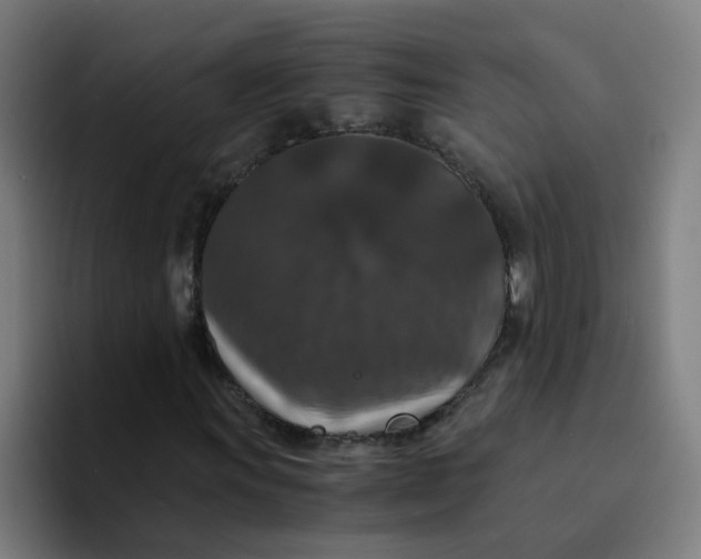 X0000094181011200711161723