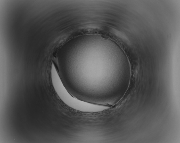 X0000094181014200711161723