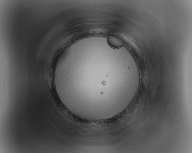 X0000094181015200711161723