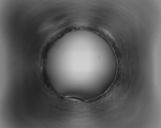 X0000094181016200711161723