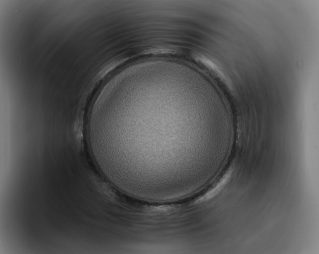 X0000094181017200711161723