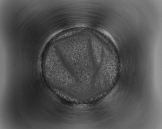 X0000094181019200711161723