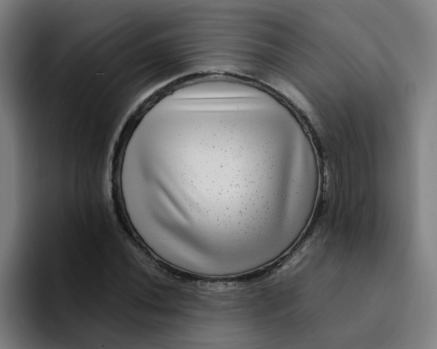 X0000094181020200711161724