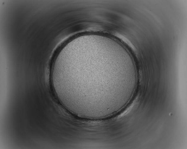 X0000094181021200711161724
