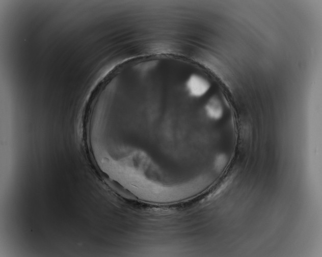 X0000094181023200711161724