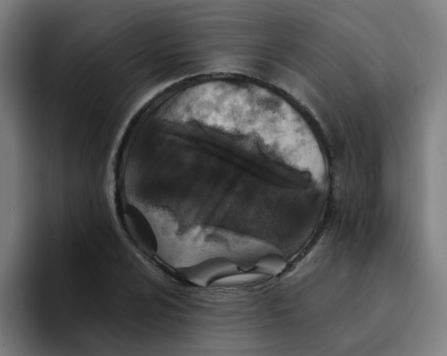 X0000094181024200711161724