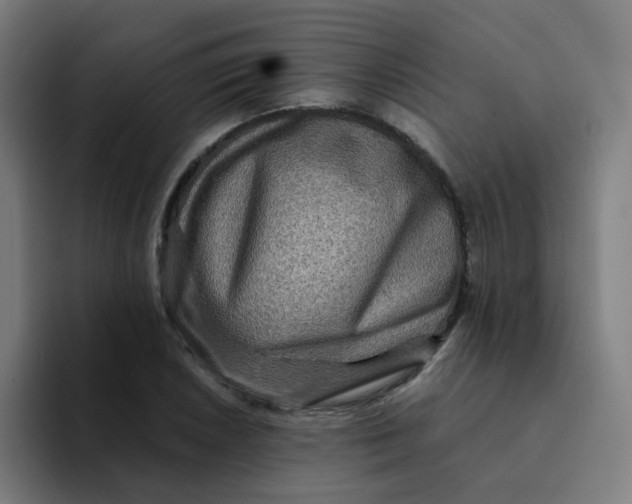 X0000094181026200711161724