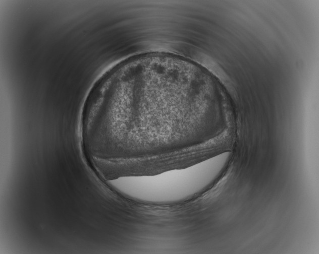 X0000094181028200711161724