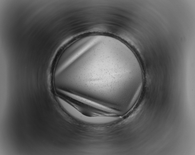 X0000094181029200711161724