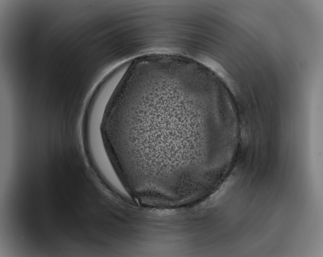 X0000094181030200711161724