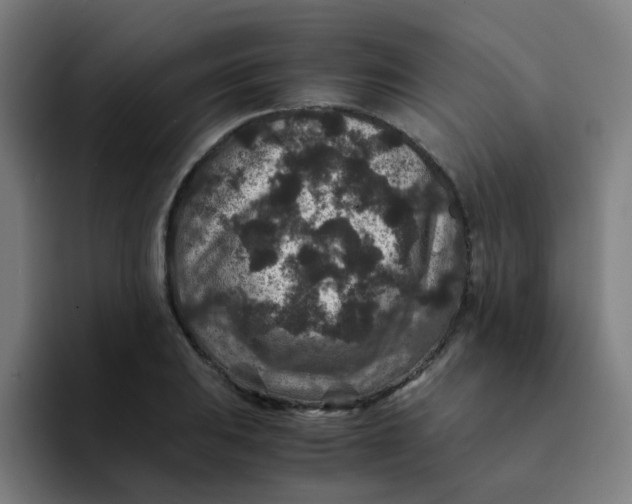 X0000094181031200711161724