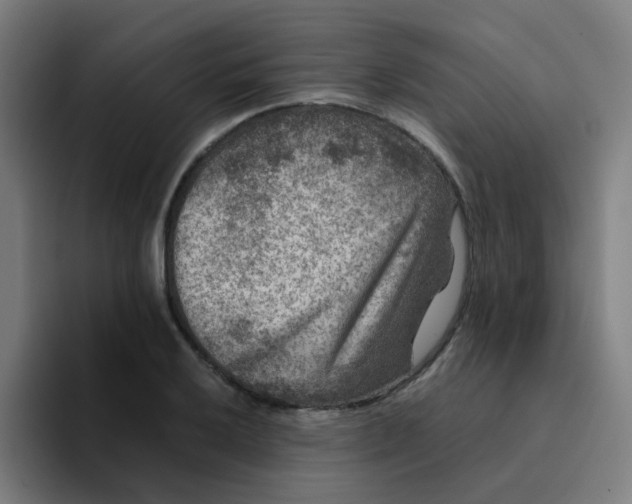 X0000094181032200711161724