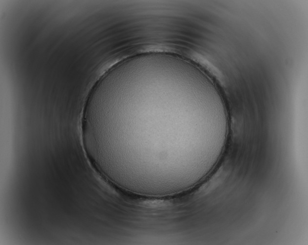 X0000094181033200711161724
