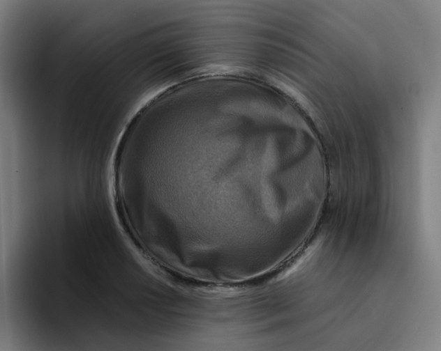 X0000094181034200711161724