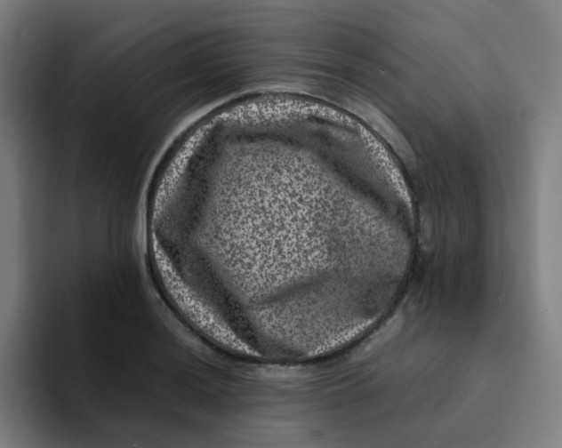 X0000094181036200711161724