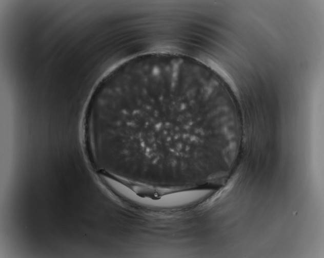 X0000094181037200711161724