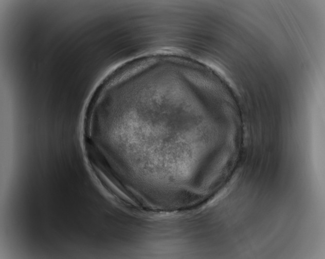 X0000094181038200711161724