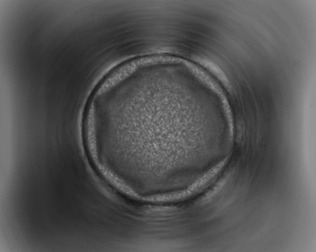 X0000094181039200711161724