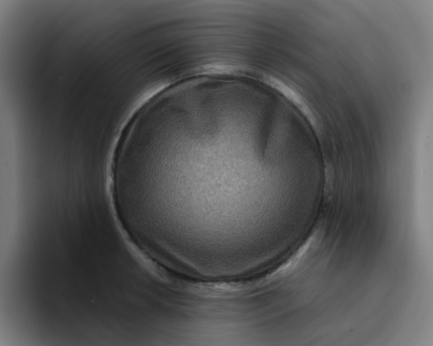 X0000094181042200711161724