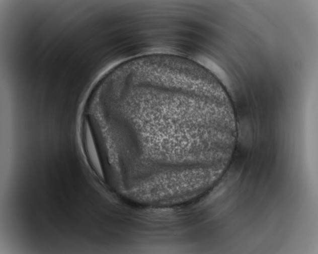 X0000094181043200711161724