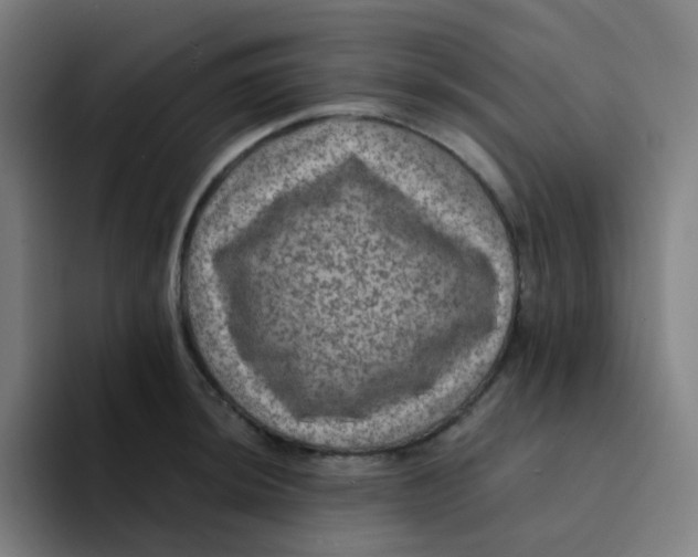 X0000094181044200711161724