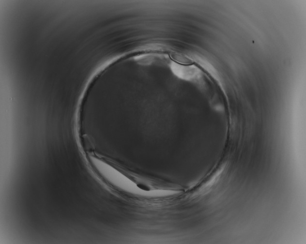 X0000094181045200711161724