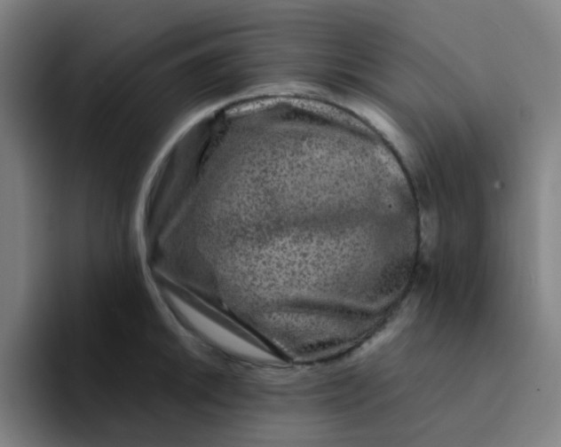 X0000094181046200711161724