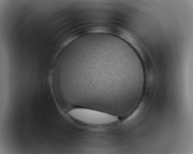 X0000094181049200711161724