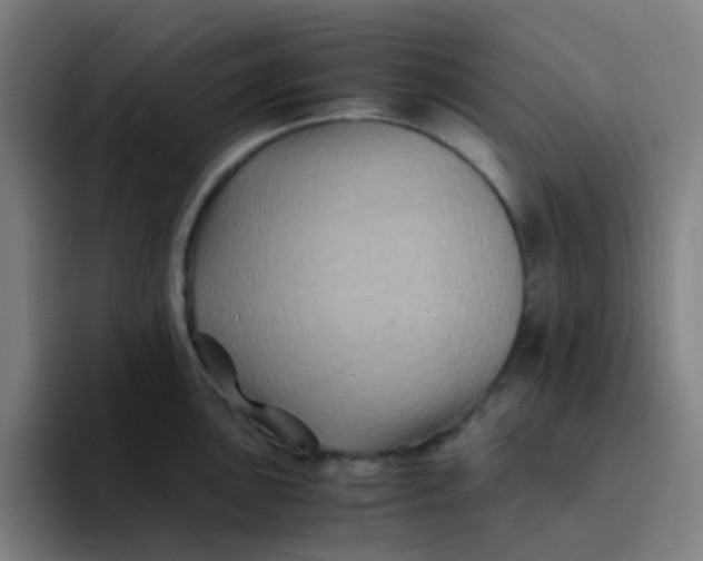 X0000094181051200711161724